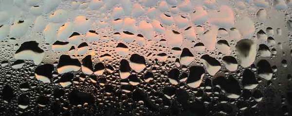 THE IMPORTANCE OF VAPOUR PRESSURE DEFICIT (VPD) SIMPLIFIED