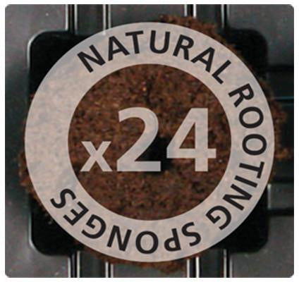 ROOT!T Essential Propagation Kit