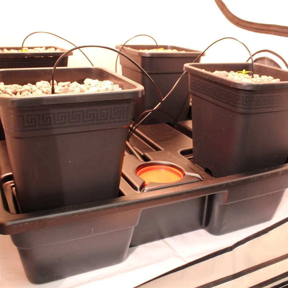 Wilma XL 4-Pot System - Hydroponic Dripper System